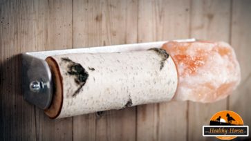 Beschäftigung für Pferde – Healthy Horses Pferdespass” mit Bürsten, Himalayasalzleckstein & 2
